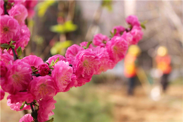 ������ʱ - �������ǲ�!